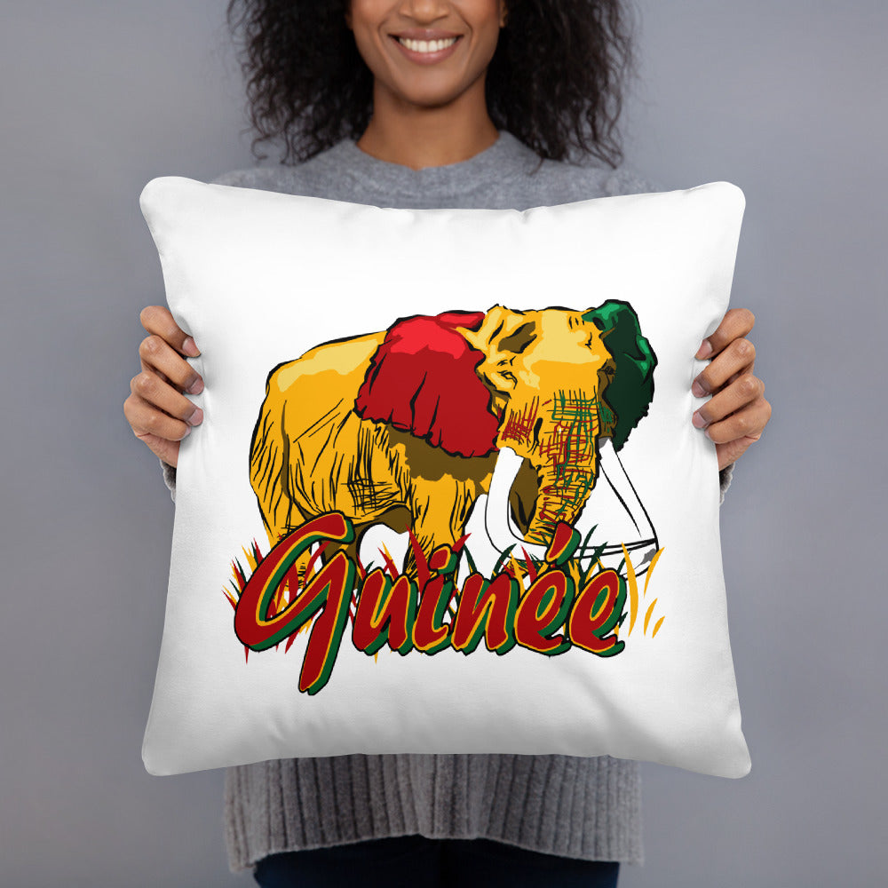 Coussin Classique Guinée