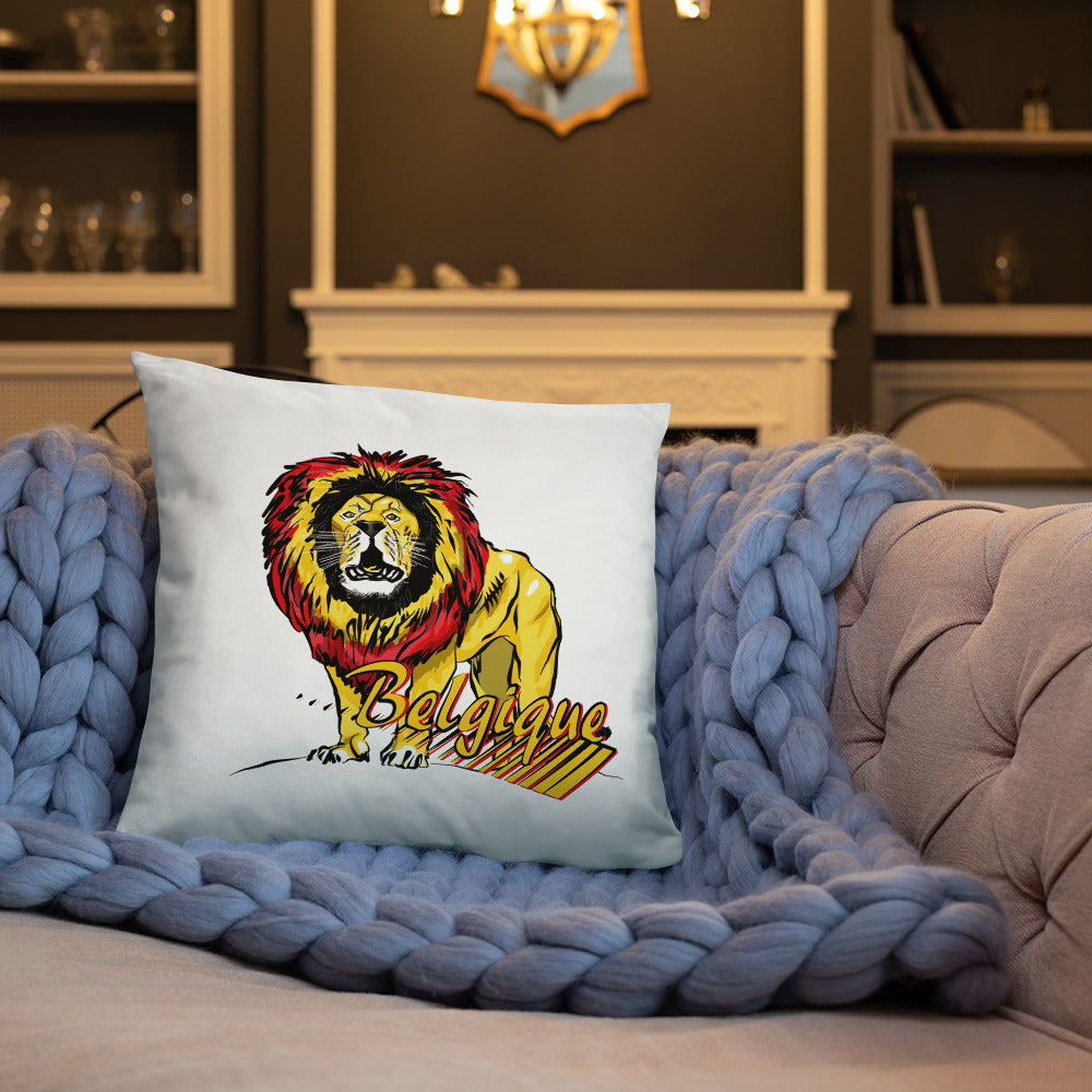 Coussin Classique