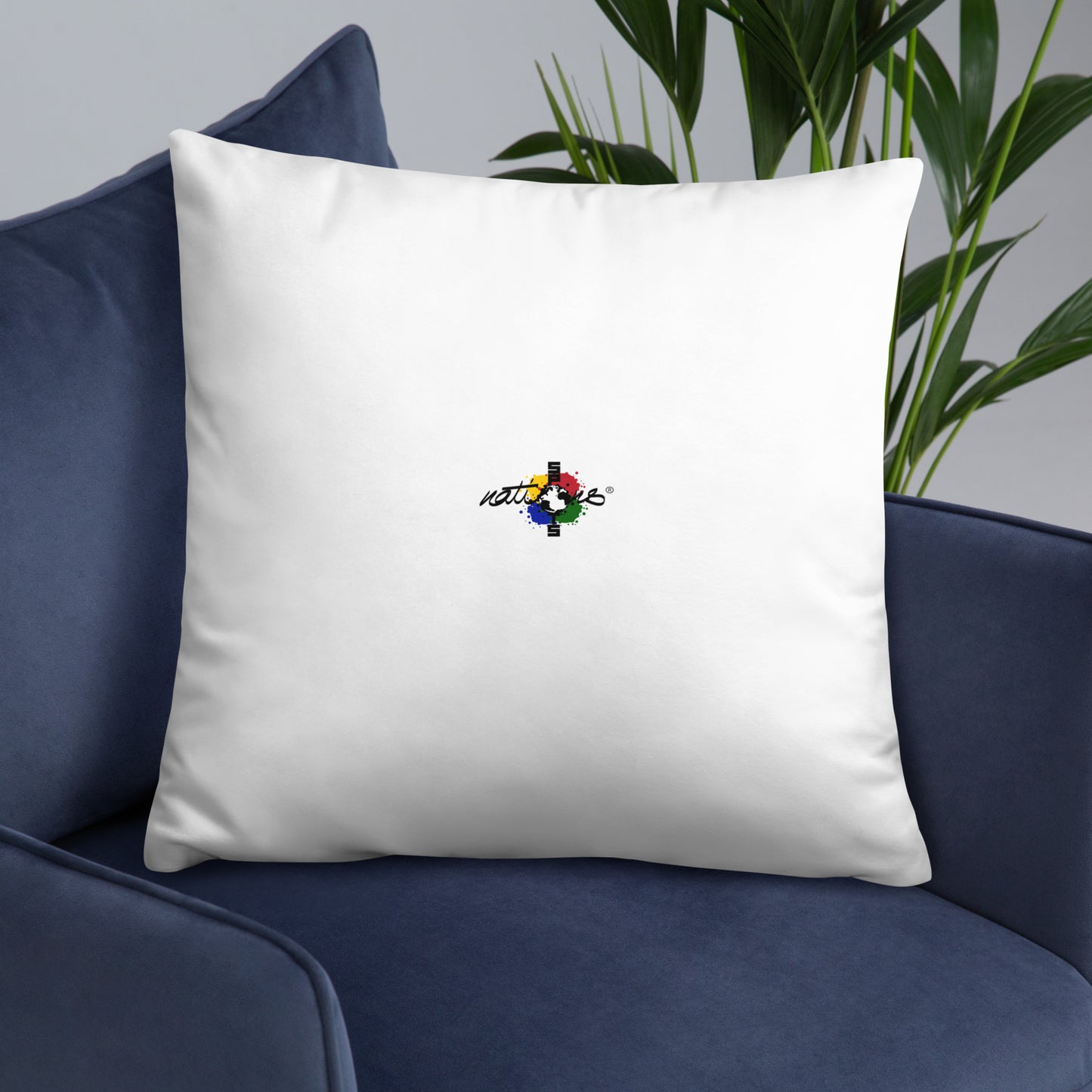 Coussin Classique Algérie