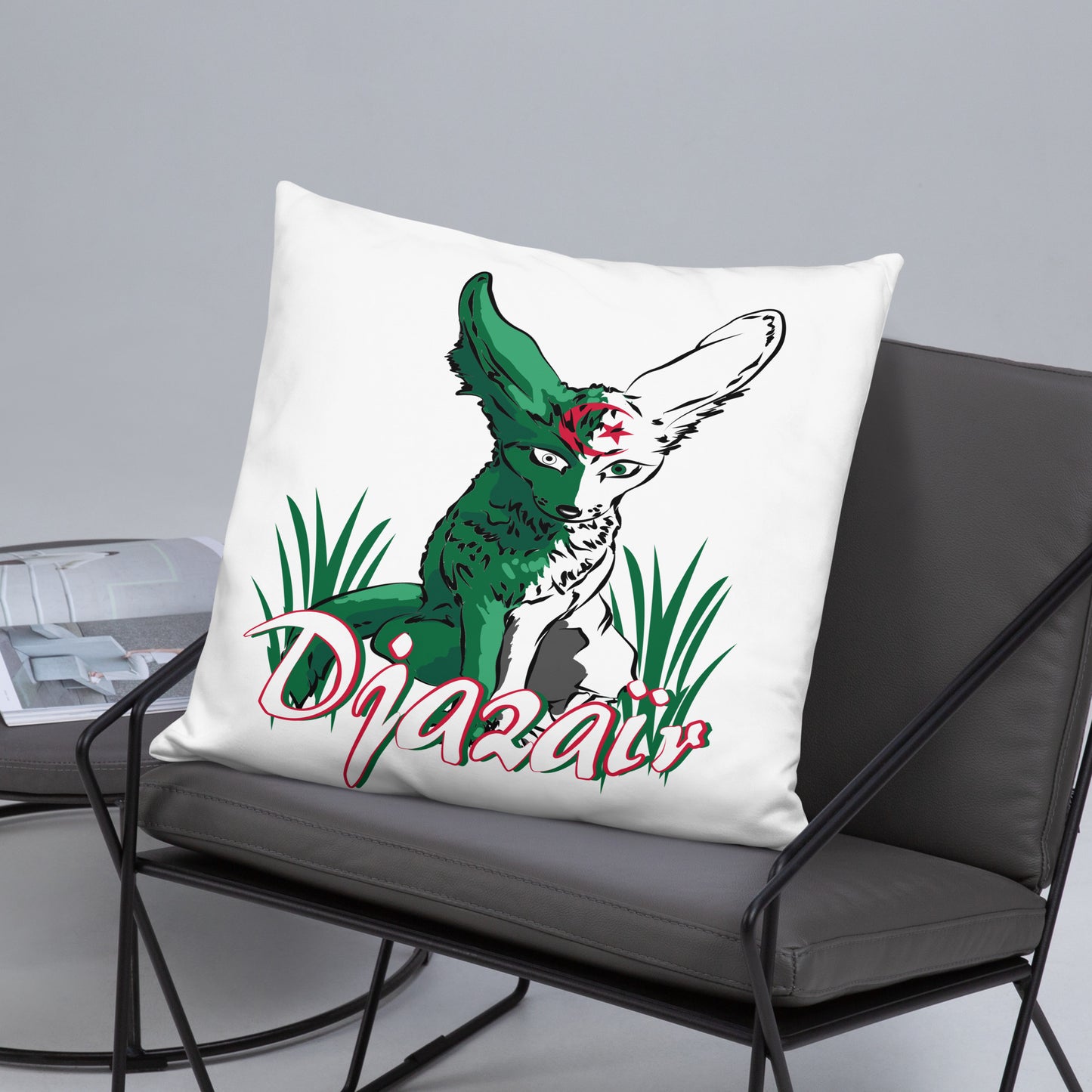 Coussin Classique Algérie