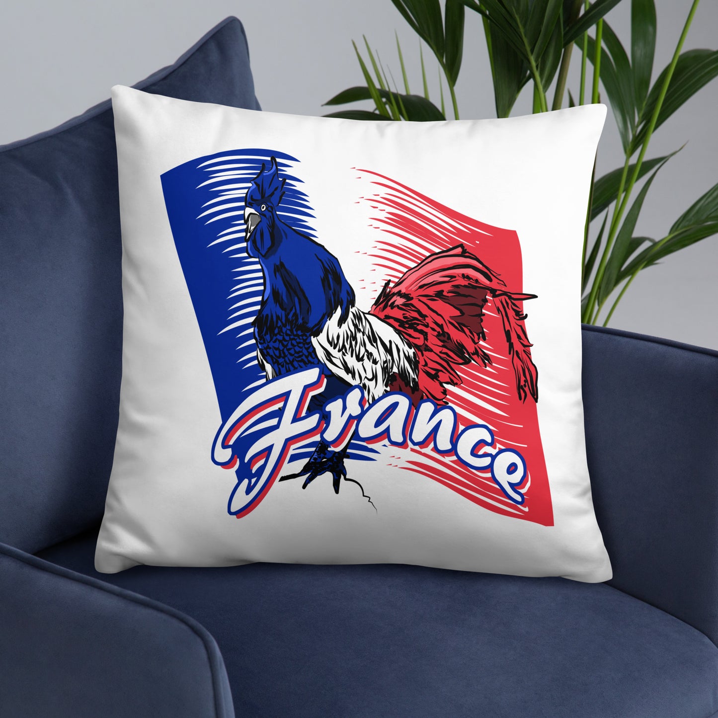 Coussin Classique